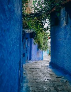 A propos pexels rickyrecap 1580173